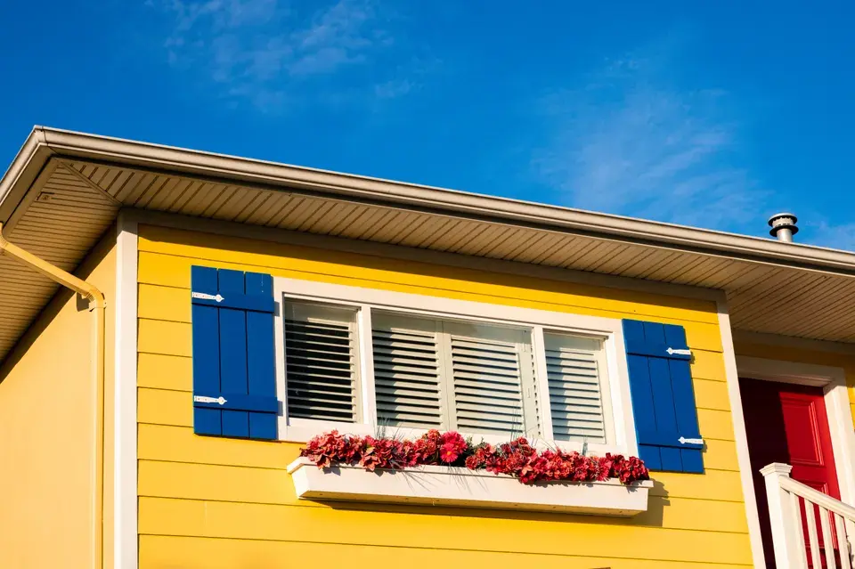 mold removal Desert Hills
