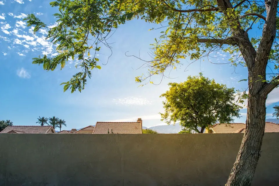 mold removal New Kingman-Butler